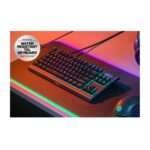 KB SteelSeries Apex 3 TKL Mechanical Gaming Keyboard 2