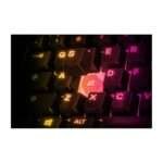 KB SteelSeries Apex 3 TKL Mechanical Gaming Keyboard 5